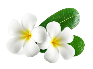 Nikky Bawa - Beauty Salon